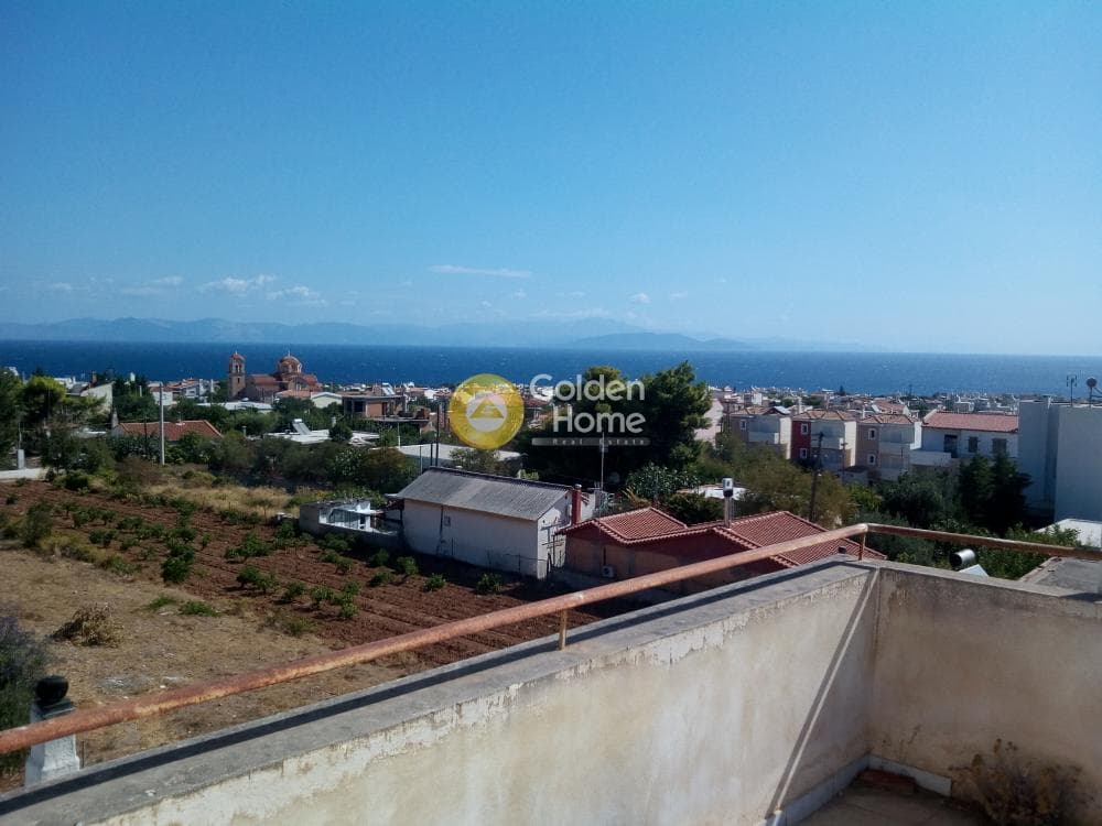 Μονοκατοικία στην Βορινέζα, Αρτέμιδα (Λούτσα) — Φωτογραφία 15 από 19