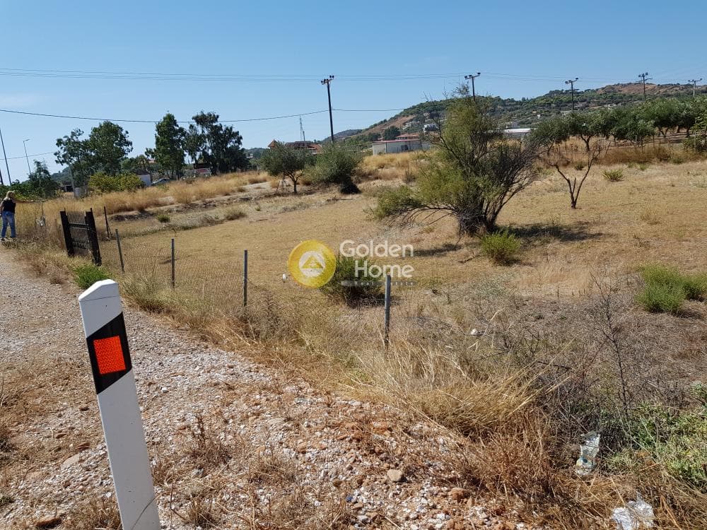 Αγροτεμάχιο στην Κεφλαίικα, Καλύβια Θορικού — Φωτογραφία 3 από 6