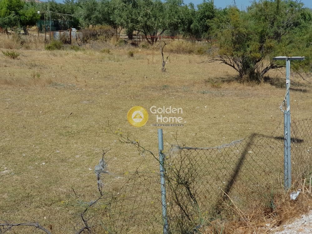 Αγροτεμάχιο στην Κεφλαίικα, Καλύβια Θορικού — Φωτογραφία 4 από 6