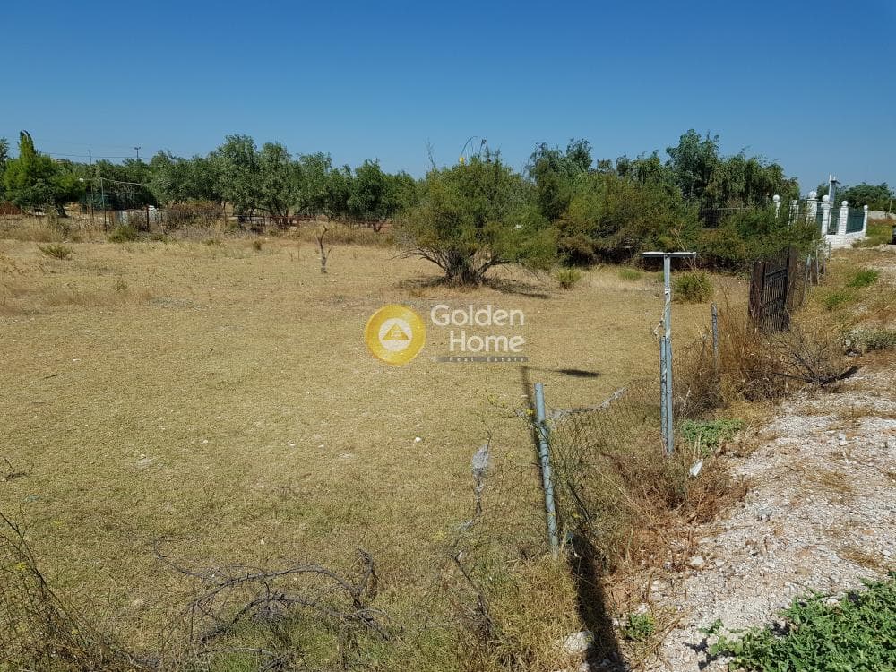Αγροτεμάχιο στην Κεφλαίικα, Καλύβια Θορικού — Φωτογραφία 6 από 6