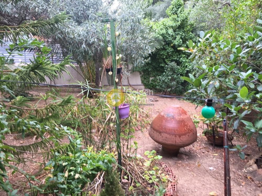 House in Gargittos, Gerakas — Photo 21 of 23
