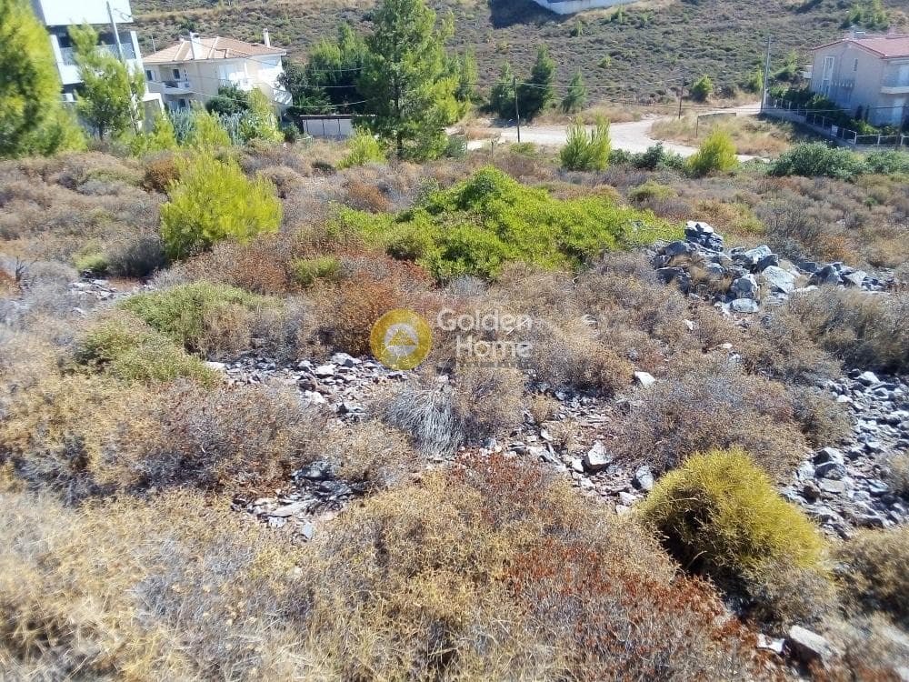 Building Plot in Dasamari, Pikermi — Photo 1 of 2