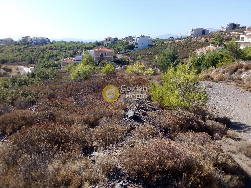 Building Plot in Dasamari, Pikermi — Photo 1 of 2