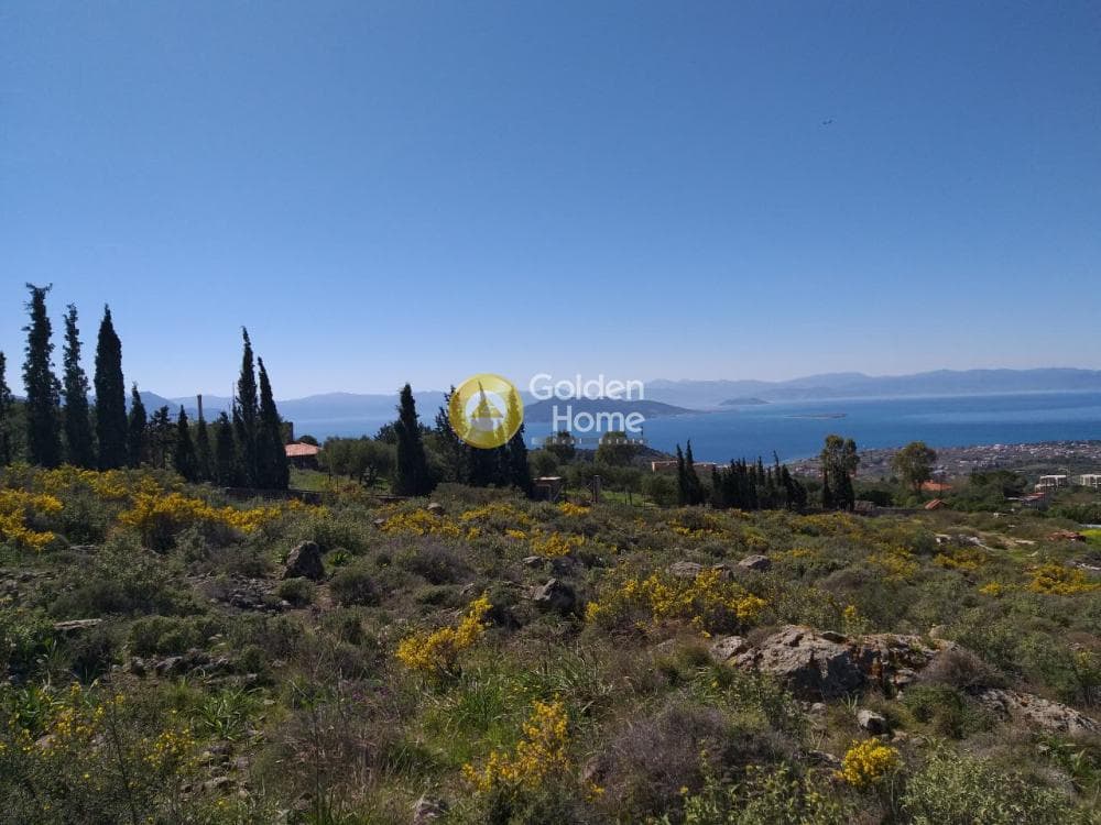 Parcel in Tzikides, Aegina — Photo 4 of 7