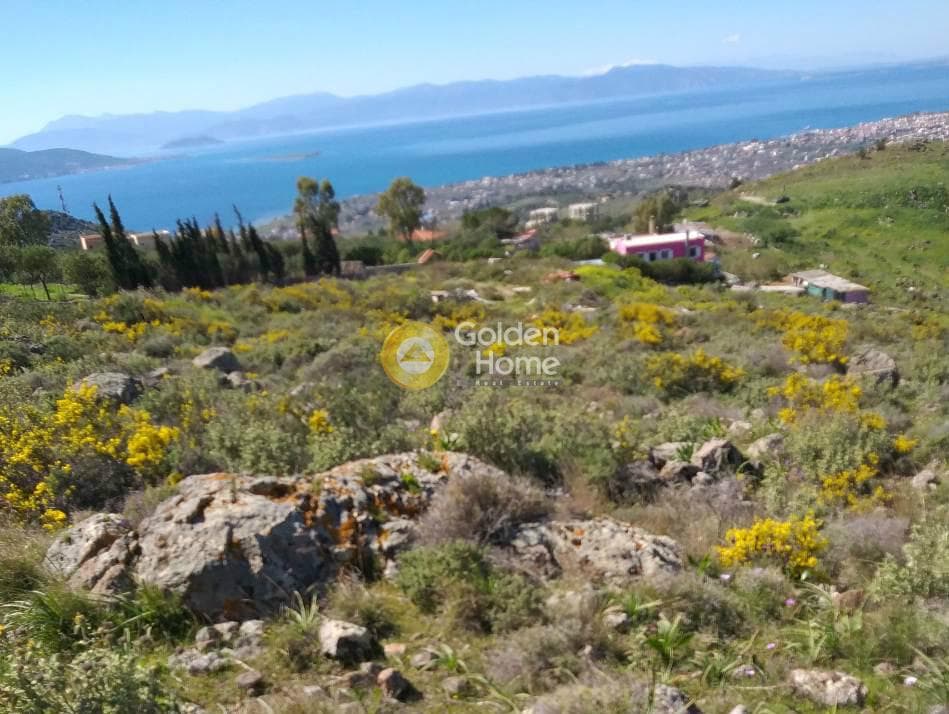Parcel in Tzikides, Aegina — Photo 1 of 7