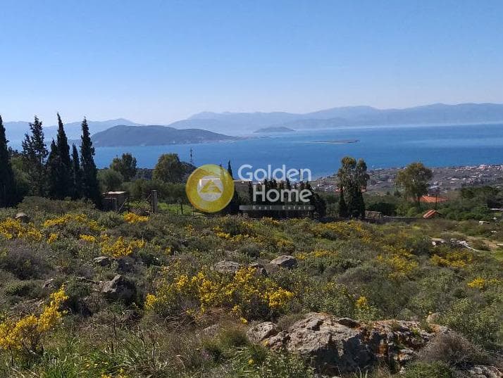 Parcel in Tzikides, Aegina — Photo 7 of 7