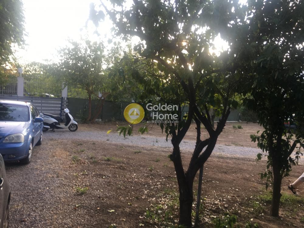 Αγροτεμάχιο στην Κέντρο, Μεταμόρφωση — Φωτογραφία 16 από 24