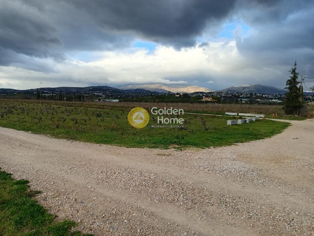 Parcel in Neapoli, Spata — Photo 1 of 7