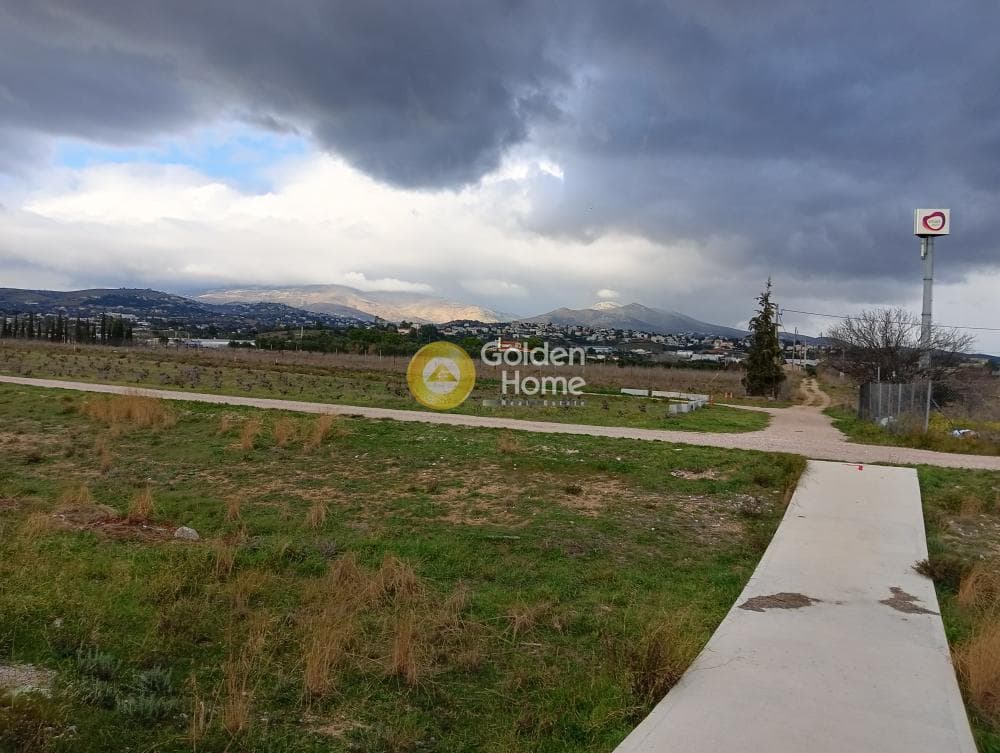 Parcel in Neapoli, Spata — Photo 4 of 7