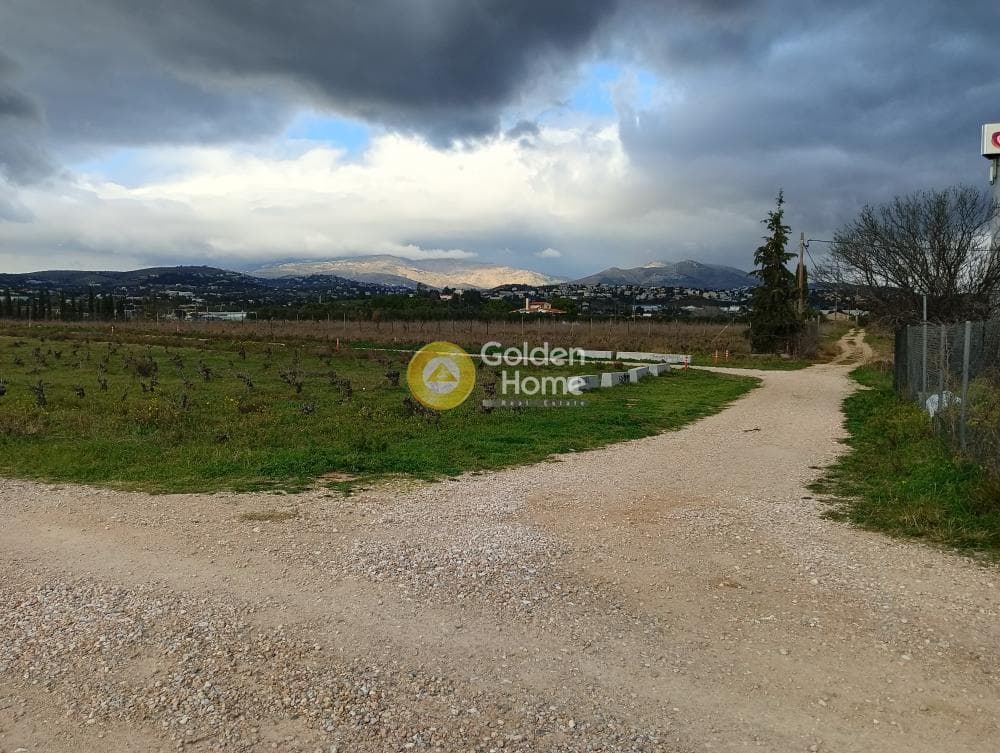 Parcel in Neapoli, Spata — Photo 2 of 7