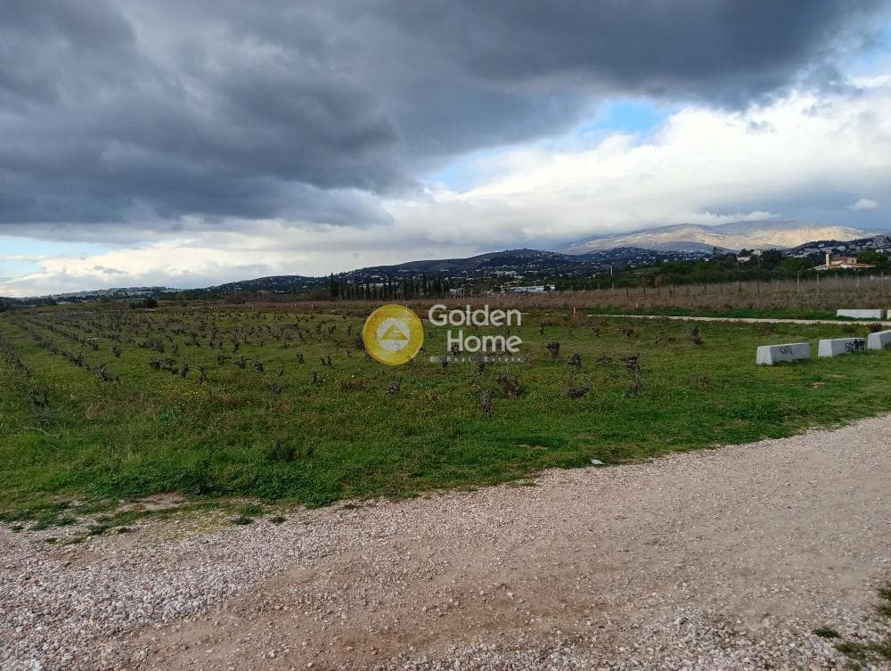 Parcel in Neapoli, Spata — Photo 5 of 7