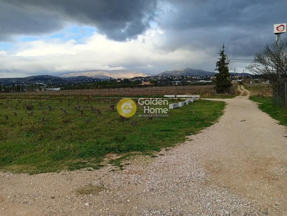 Parcel in Neapoli, Spata — Photo 6 of 7