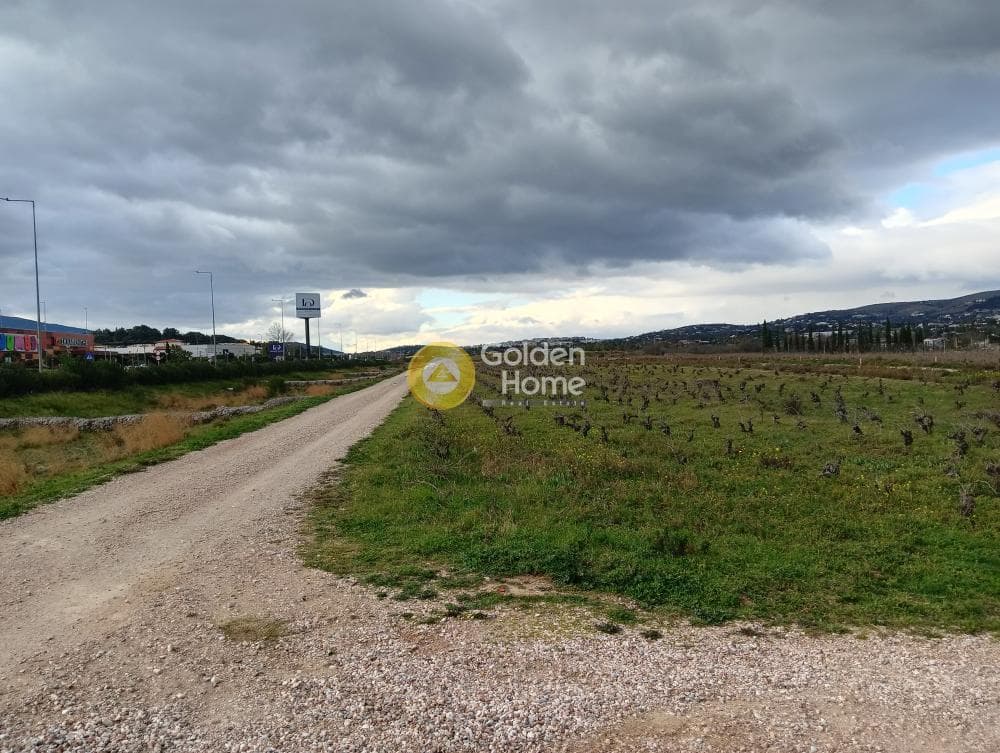 Parcel in Neapoli, Spata — Photo 7 of 7