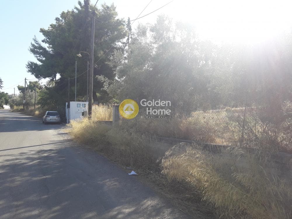 Parcel in Agios Minas, Chios — Photo 3 of 13