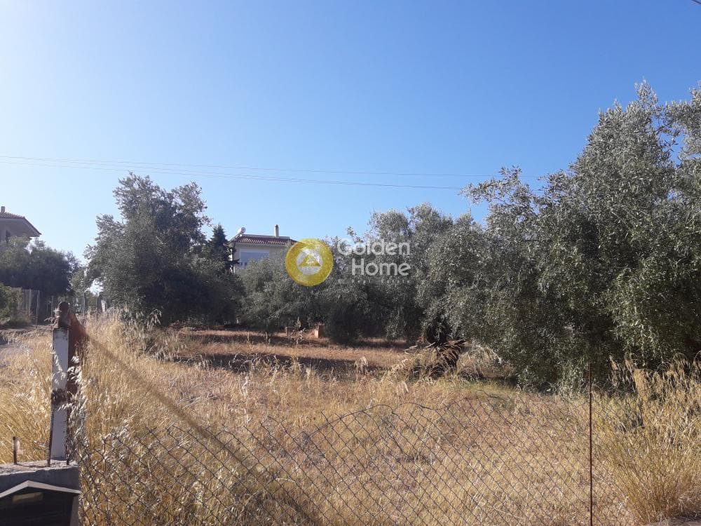 Parcel in Agios Minas, Chios — Photo 4 of 13