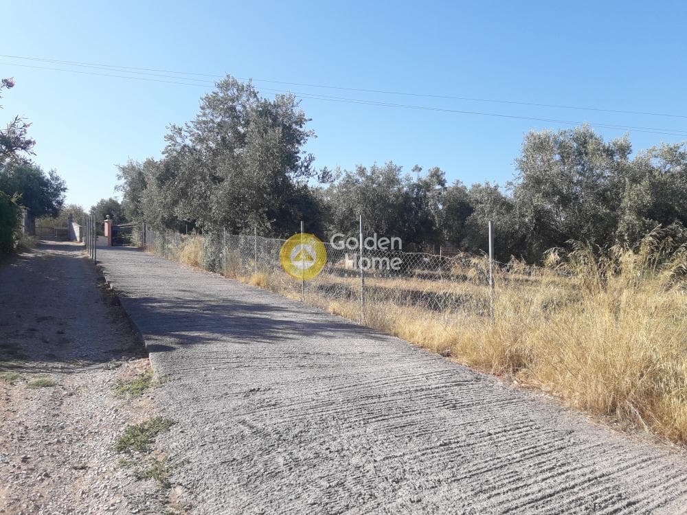 Parcel in Agios Minas, Chios — Photo 5 of 13