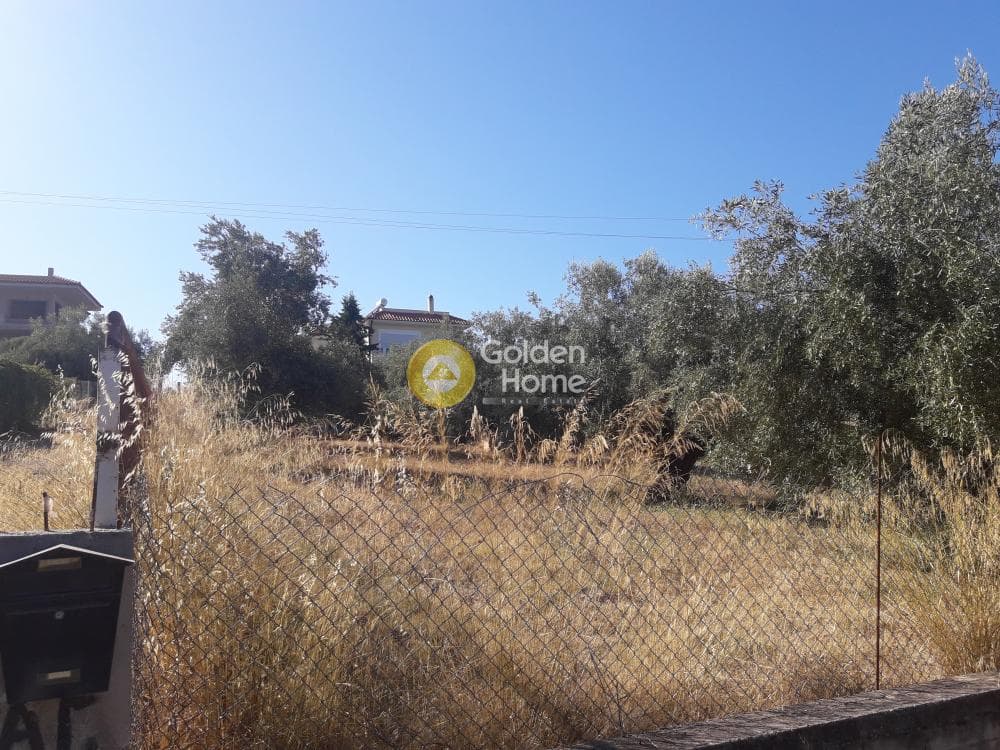 Parcel in Agios Minas, Chios — Photo 6 of 13