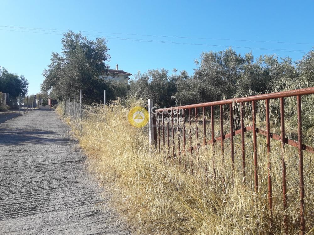 Parcel in Agios Minas, Chios — Photo 7 of 13