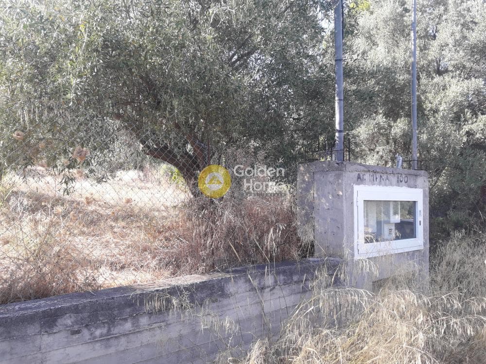 Parcel in Agios Minas, Chios — Photo 8 of 13