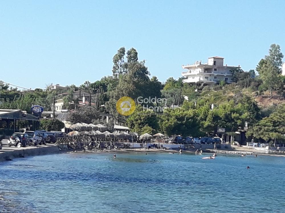 Parcel in Agios Minas, Chios — Photo 2 of 13