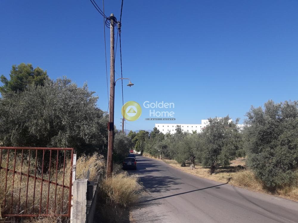 Parcel in Agios Minas, Chios — Photo 10 of 13