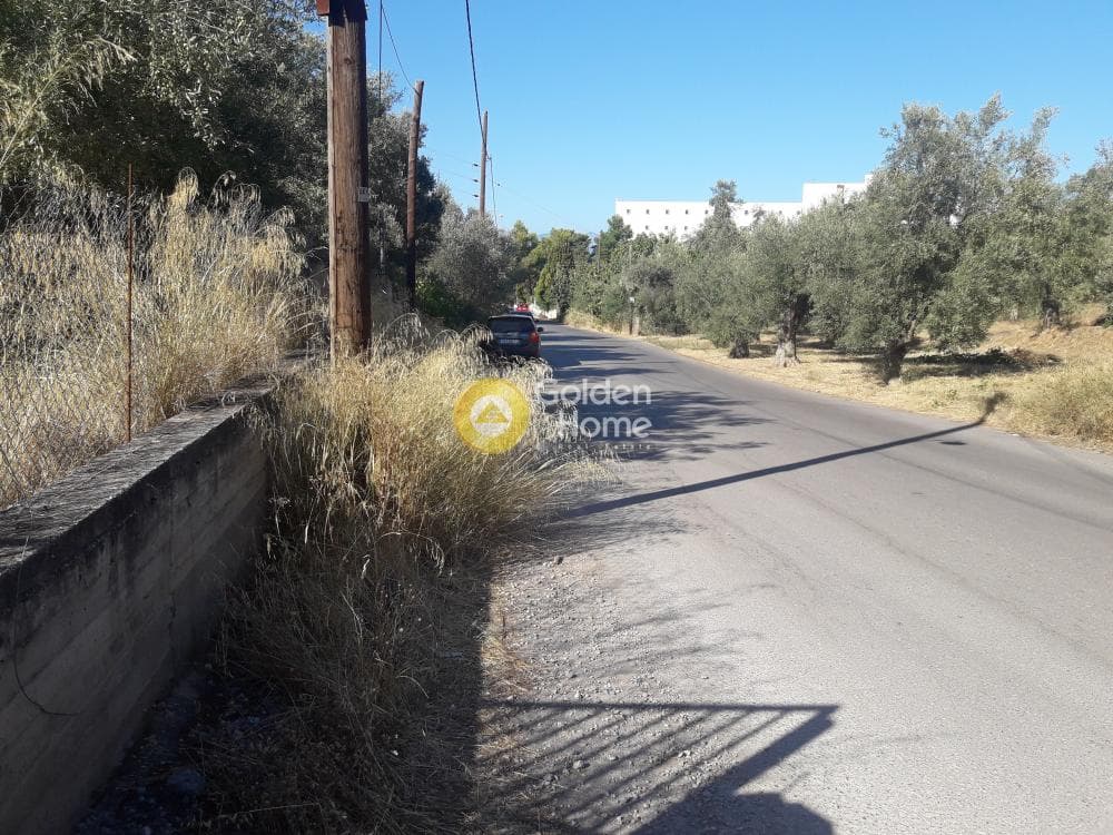 Parcel in Agios Minas, Chios — Photo 12 of 13