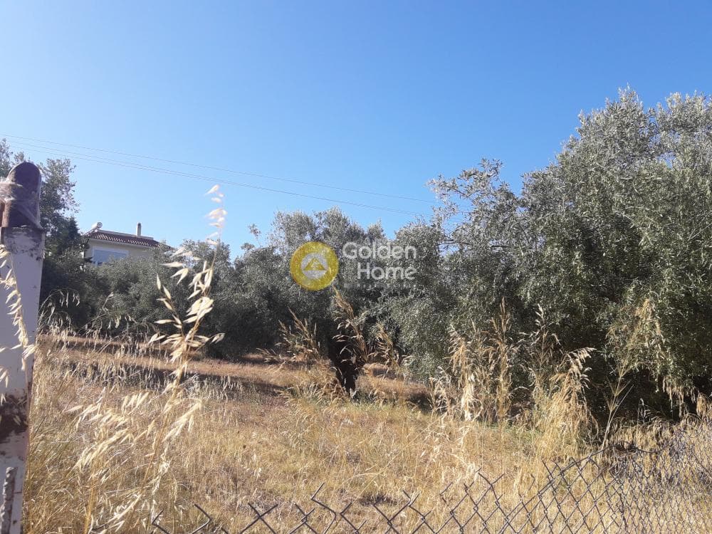 Parcel in Agios Minas, Chios — Photo 13 of 13
