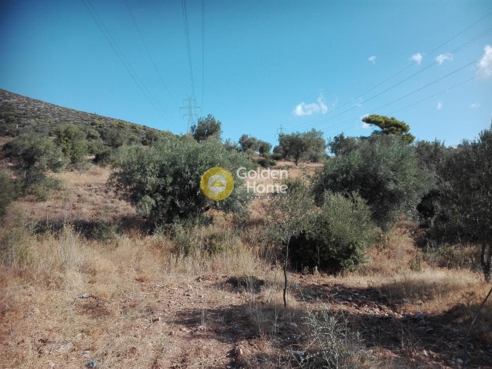 Αγροτεμάχιο στην Αγία Τριάδα, Παιανία — Φωτογραφία 1 από 3