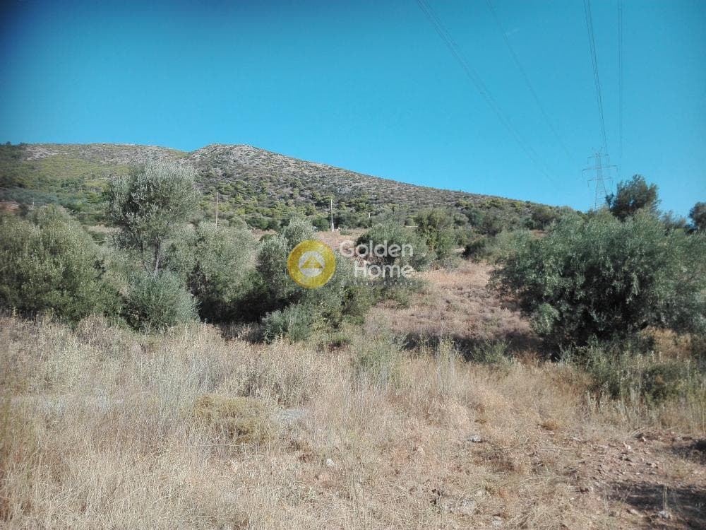 Αγροτεμάχιο στην Αγία Τριάδα, Παιανία — Φωτογραφία 2 από 3