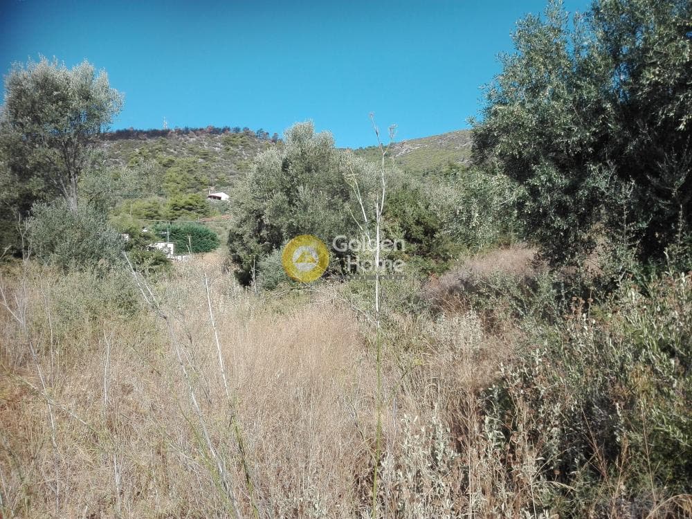 Αγροτεμάχιο στην Αγία Τριάδα, Παιανία — Φωτογραφία 3 από 3