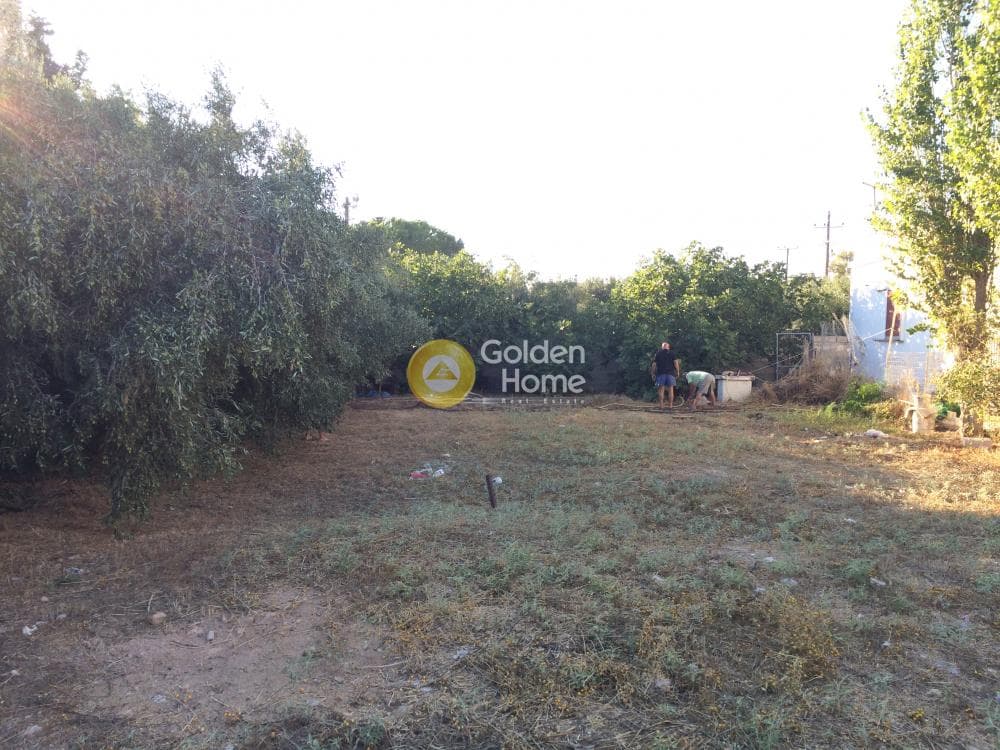 Building Plot in Kalivia, Kalivia Thorikou — Photo 4 of 11