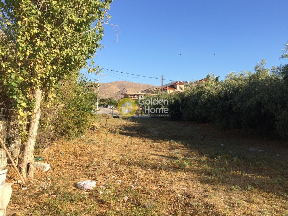 Building Plot in Kalivia, Kalivia Thorikou — Photo 5 of 11