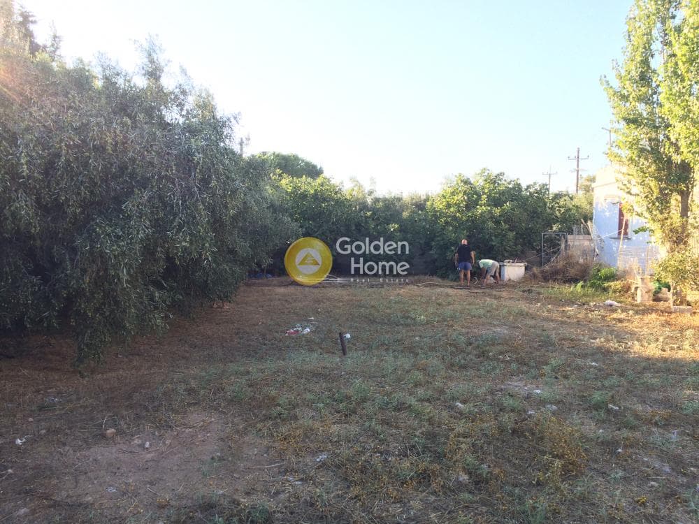 Building Plot in Kalivia, Kalivia Thorikou — Photo 7 of 11