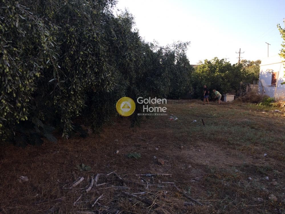 Building Plot in Kalivia, Kalivia Thorikou — Photo 8 of 11