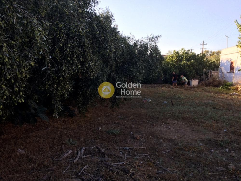 Building Plot in Kalivia, Kalivia Thorikou — Photo 9 of 11