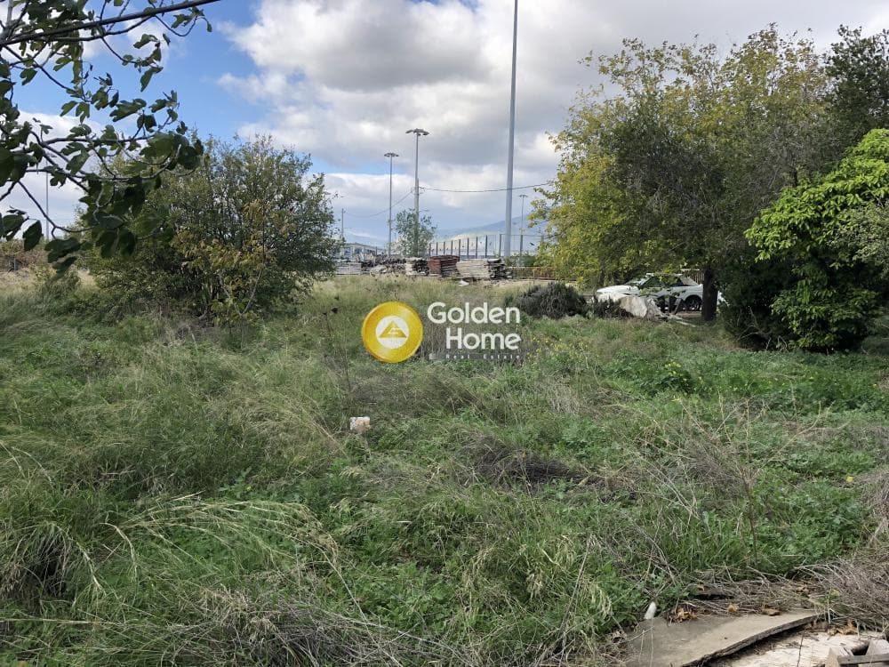 Οικόπεδο στην Καναπίτσα, Μεταμόρφωση — Φωτογραφία 7 από 10