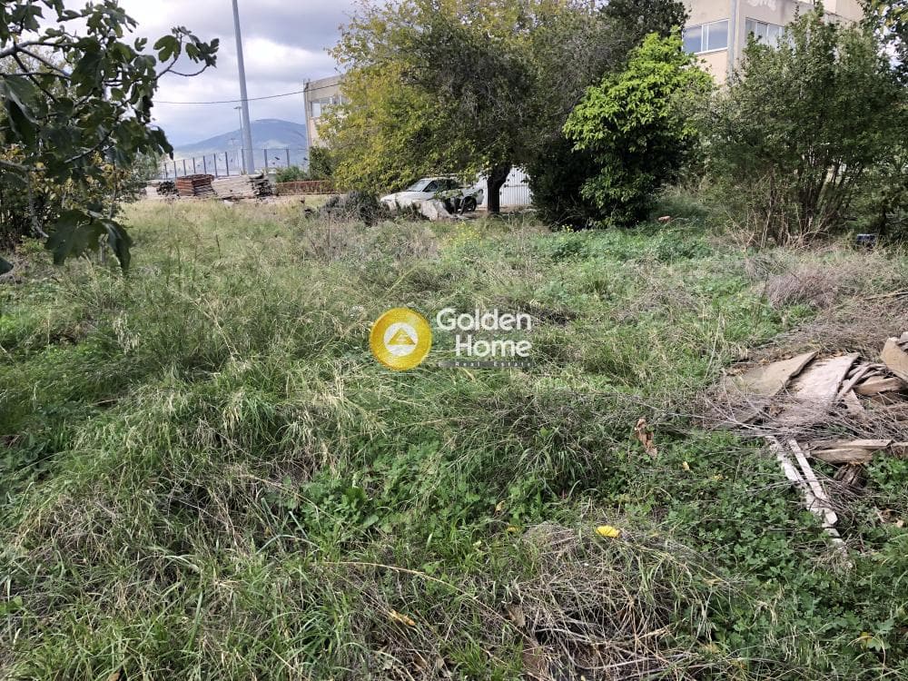 Οικόπεδο στην Καναπίτσα, Μεταμόρφωση — Φωτογραφία 8 από 10