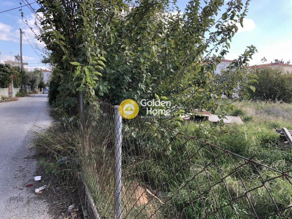 Οικόπεδο στην Καναπίτσα, Μεταμόρφωση — Φωτογραφία 10 από 10