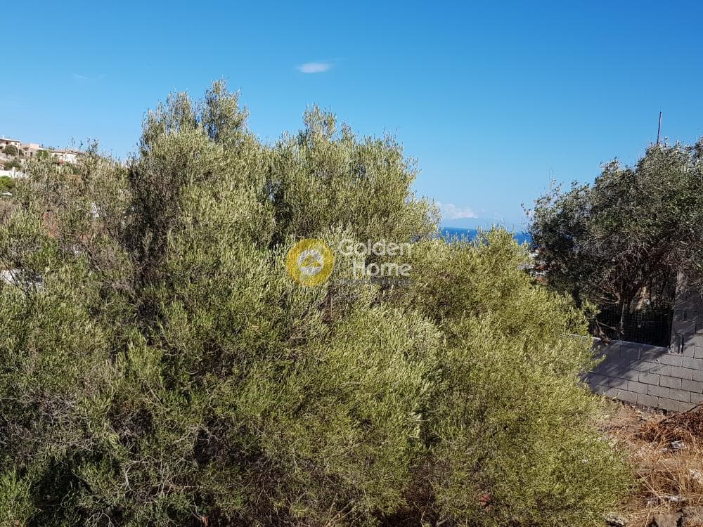 Αγροτεμάχιο στην Διψέλιζα, Κερατέα — Φωτογραφία 4 από 5