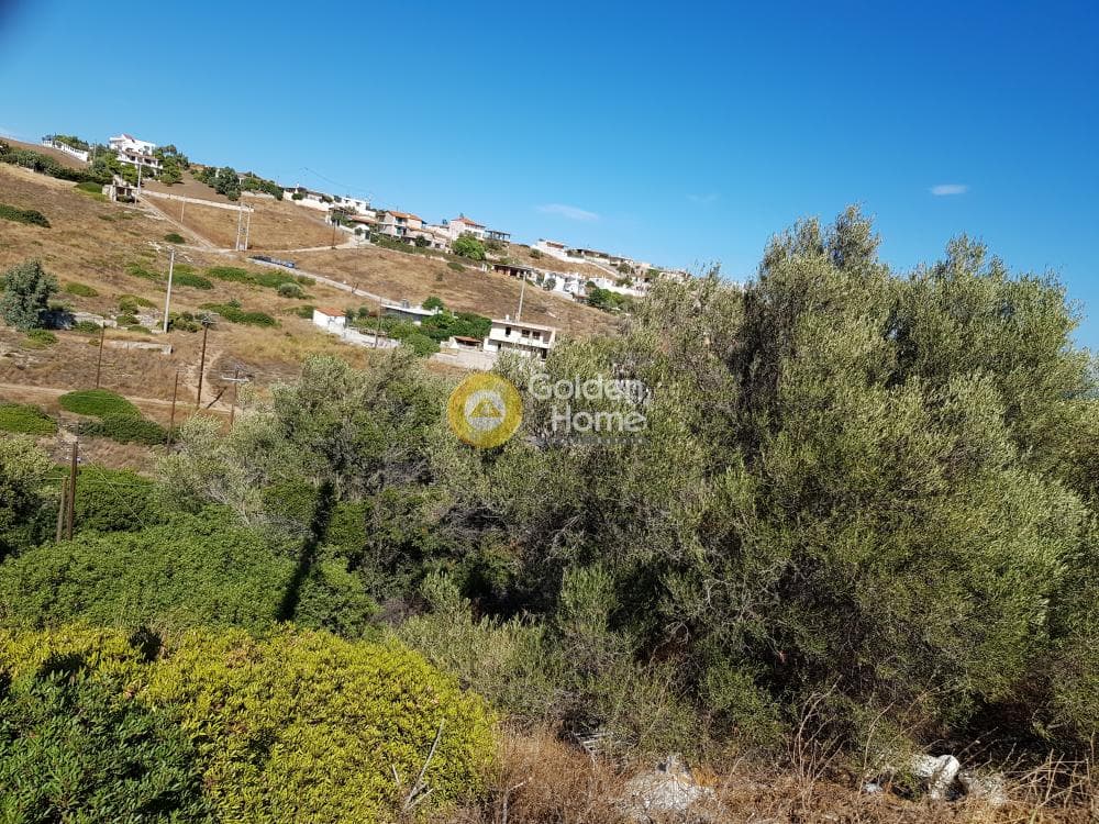 Αγροτεμάχιο στην Διψέλιζα, Κερατέα — Φωτογραφία 3 από 5