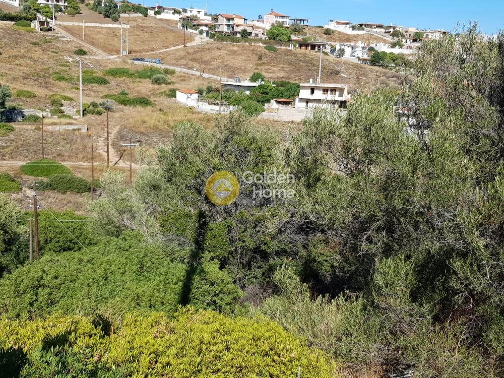 Αγροτεμάχιο στην Διψέλιζα, Κερατέα — Φωτογραφία 5 από 5