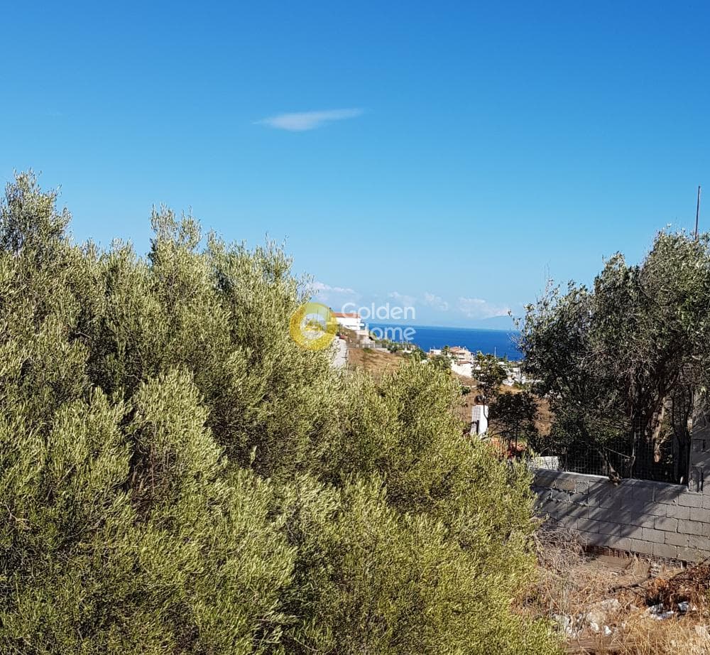 Αγροτεμάχιο στην Διψέλιζα, Κερατέα — Φωτογραφία 1 από 5