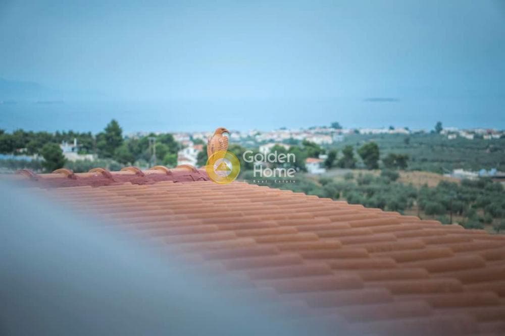 Μονοκατοικία στην Γαλατάκι, Σαρωνικός — Φωτογραφία 16 από 39
