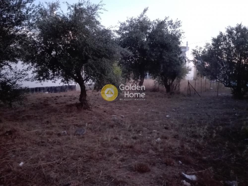 Building Plot in Patima, Chalandri — Photo 3 of 3