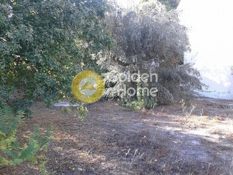 Οικόπεδο στην Άγιος Θωμάς, Μαρούσι — Φωτογραφία 5 από 7