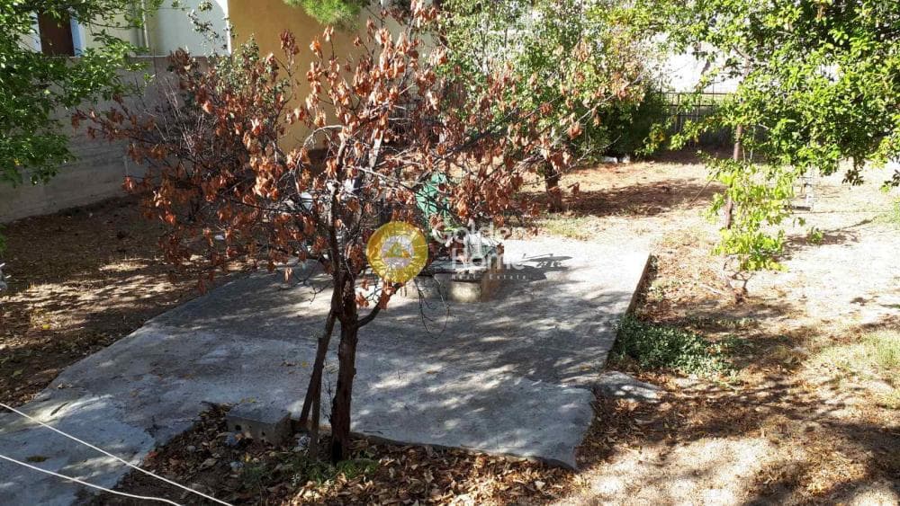 Μονοκατοικία στην Ζεφύρι, Ζεφύρι — Φωτογραφία 15 από 24
