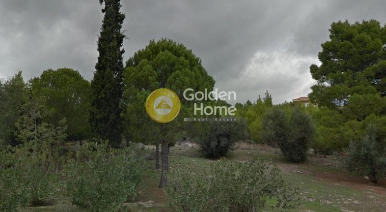 Building Plot in Nea Pallini, Pallini
