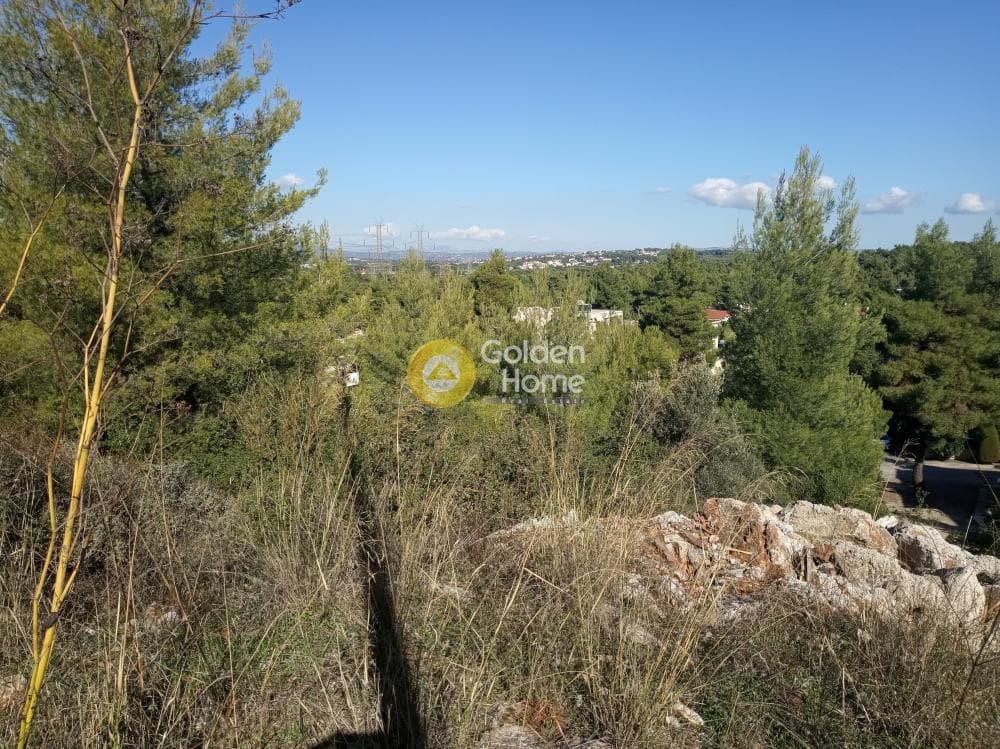 Οικόπεδο στην Δροσιά, Δροσιά — Φωτογραφία 2 από 3
