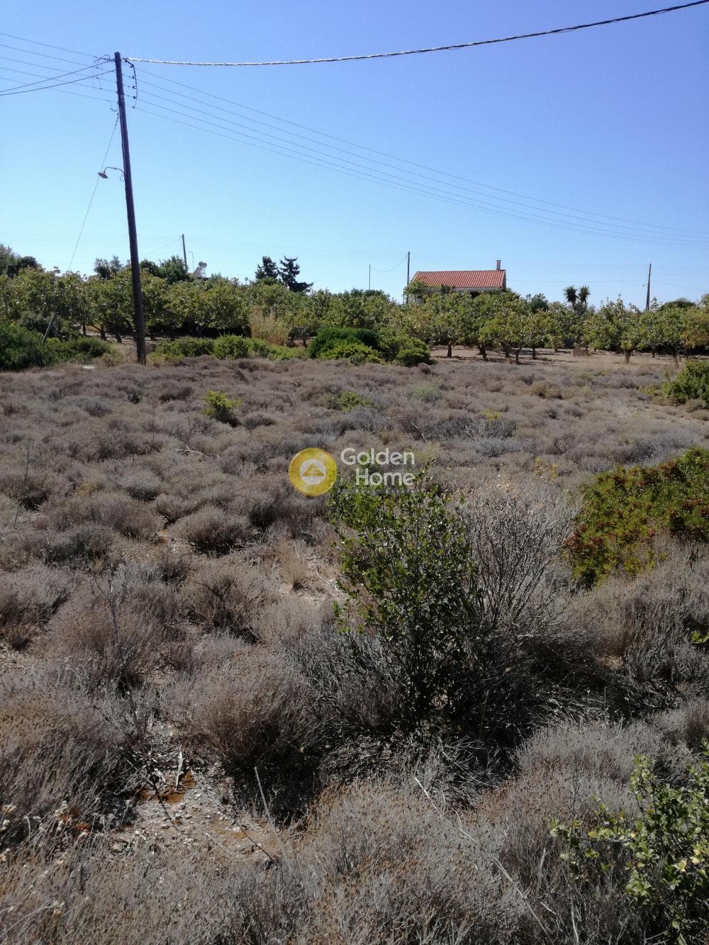 Building Plot in Kipseli, Aegina — Photo 3 of 7