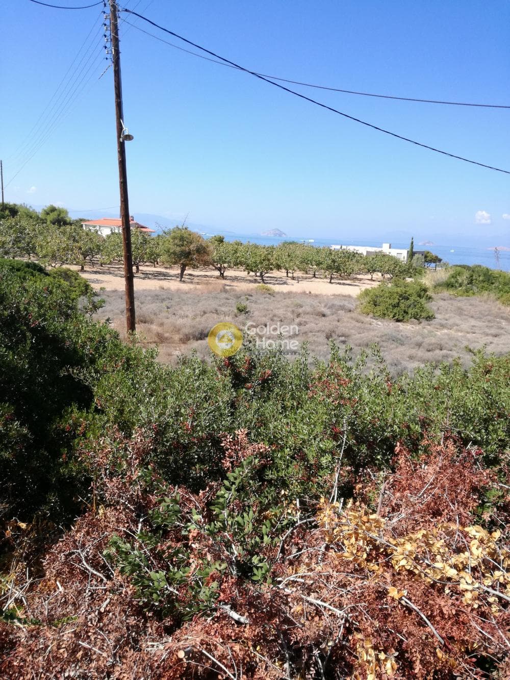 Building Plot in Kipseli, Aegina — Photo 7 of 7